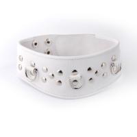 ОШЕЙНИК кожа (3115-3)