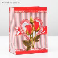 ПАКЕТ ЛАМИНАТ 12х15х5 см, (3821299)