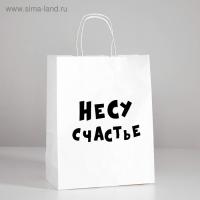 ПАКЕТ ПОДАРОЧНЫЙ НЕСУ СЧАСТЬЕ 24х14х30 см, (4773953)