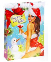 ПАКЕТ ПОДАРОЧНЫЙ НОВОГОДНИЙ (блёстки + пуховая окантовка) 32х45х10 (819537 )