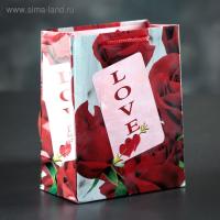 ПАКЕТ ЛАМИНАТ 12х15х5 см, (3821266)