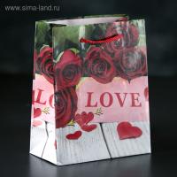 ПАКЕТ ЛАМИНАТ 12х15х5 см, (3821268)