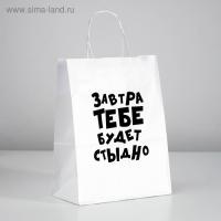 ПАКЕТ ПОДАРОЧНЫЙ ЗАВТРА ТЕБЕ БУДЕТ СТЫДНО 24х14х30 см, (4836674)