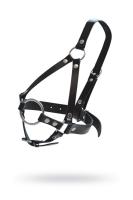 Кляп-рамка со сбруей на голову, кожа, черный (0T-00015579)